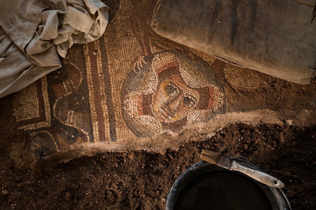 ����ķ�������¶��һ����������Ƕ��һ��ľ糡���ͼ�� PHOTOGRAPH BY MARK THIESSEN, NATIONAL GEOGRAPHIC