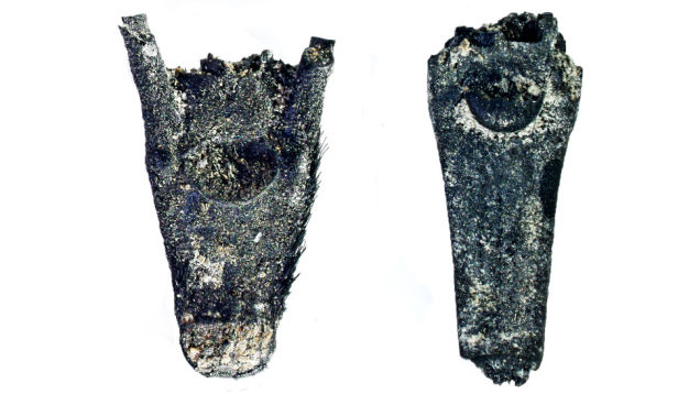 以色列太巴列湖沿岸距今23000年古人类遗址(OhaloⅡ)中发现早期农业迹象