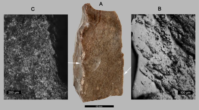 以色列太巴列湖沿岸距今23000年古人类遗址(OhaloⅡ)中发现早期农业迹象