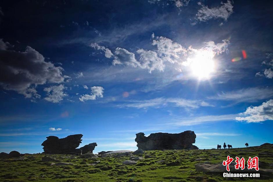 728գ½˹ί³ľٿŷᣬ⹫ھ뿦˹ˮԼ18ϷֹŵкżͼΪŵкż׶ 