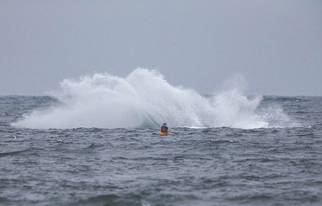 美国加利福尼亚洲沿海游客划皮艇突遇座头鲸出水
