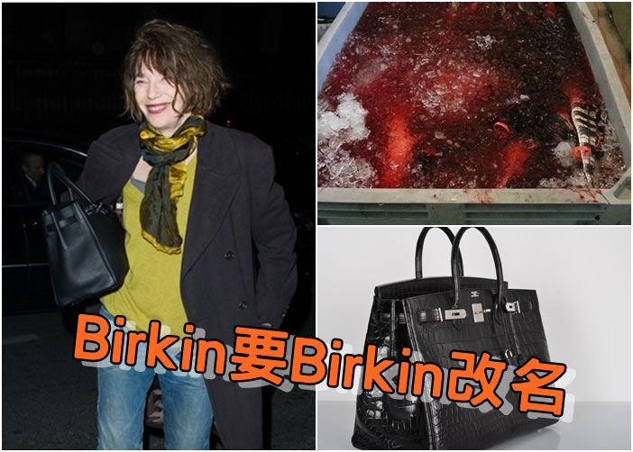 伯金(左图)不满为Hermes供应鳄鱼皮的工场血腥宰鳄(右上),要求Hermes为该袋款改名。