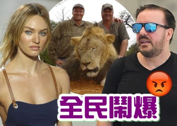 女模Candice Swanepoel(左)及力奇基维尔(右),均声讨帕尔默(小图左)。