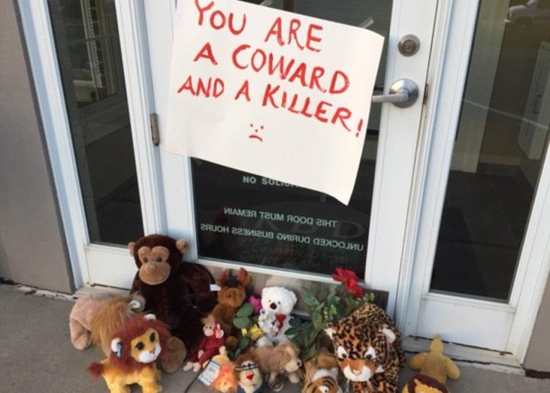 民众在帕尔默的诊所外,摆放狮子毛公仔悼念塞西尔。