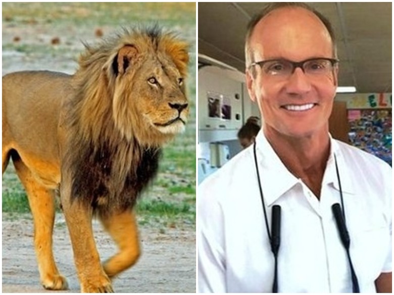 帕尔默(右图)被指用食物诱杀塞西尔(左图)。