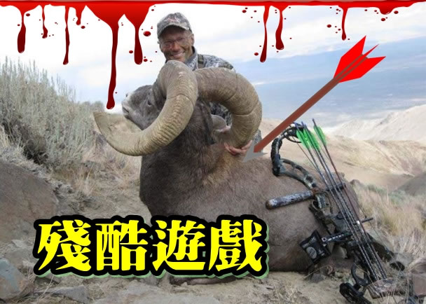 帕尔默擅长用复合弓箭狩猎