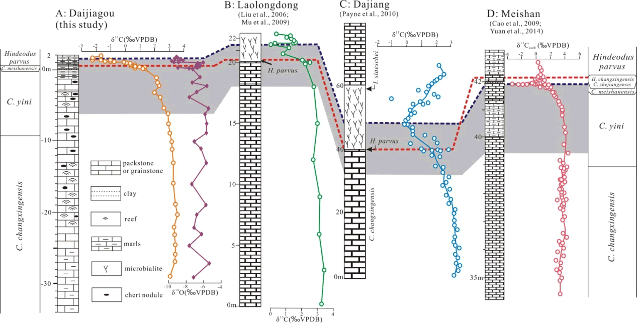 华南地区二叠-三叠系界线附近牙形类生物地层学与碳同位素曲线对比研究(红色虚线代表以牙形类化石Hindeodus parvus的首现为对比标准;蓝色虚线代表以碳同