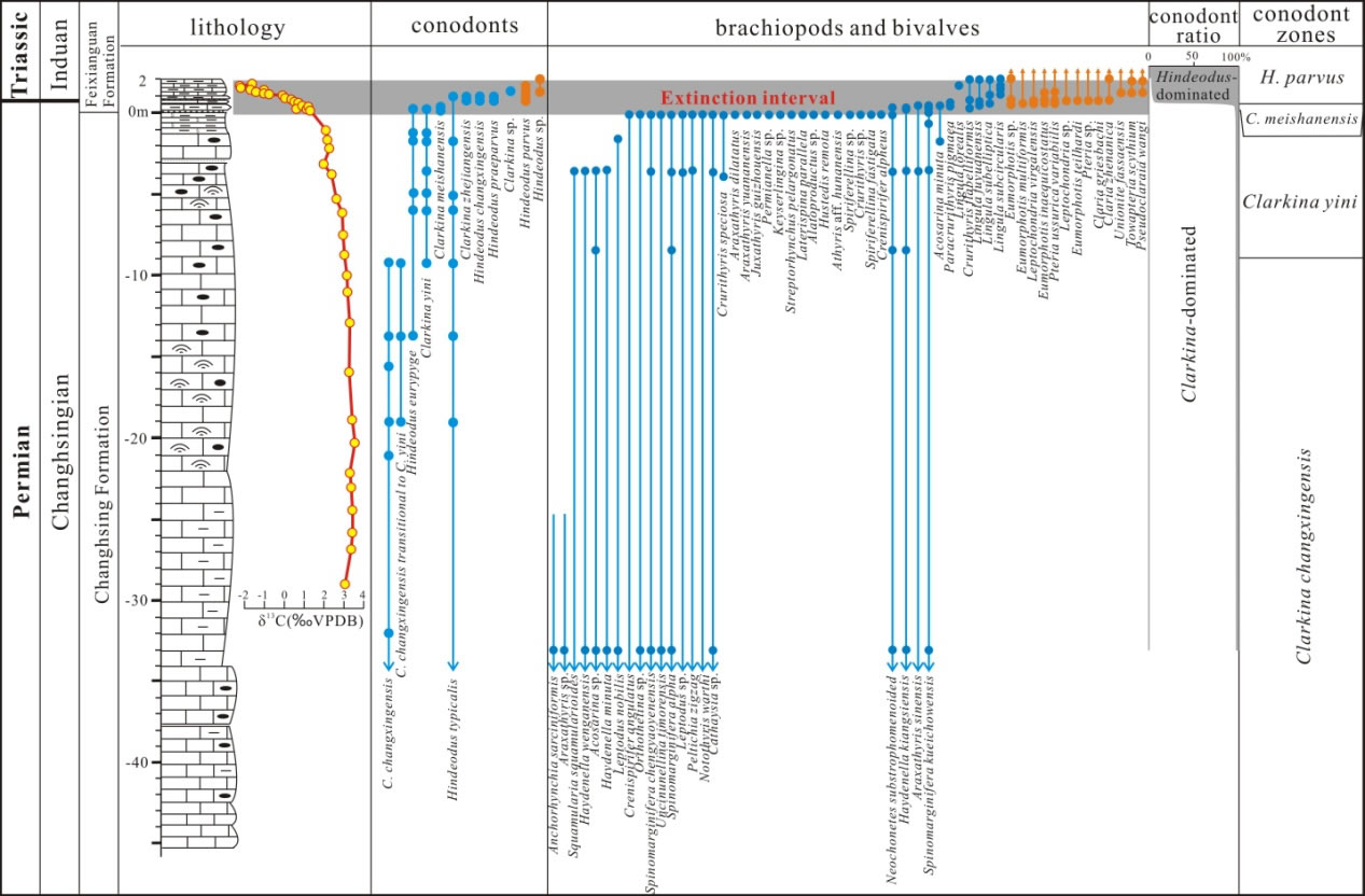 重庆代家沟剖面多门类生物对二叠纪末期生物大灭绝的响应类型
