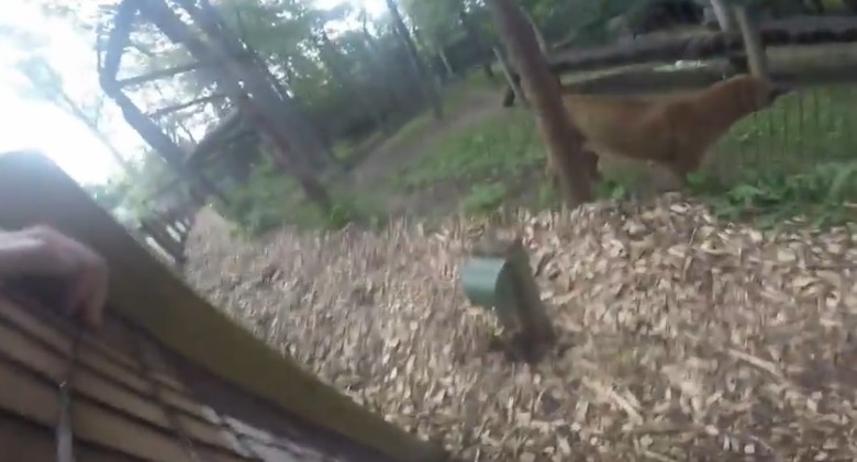 Ŧ���ԭ������Χ����������ʨ