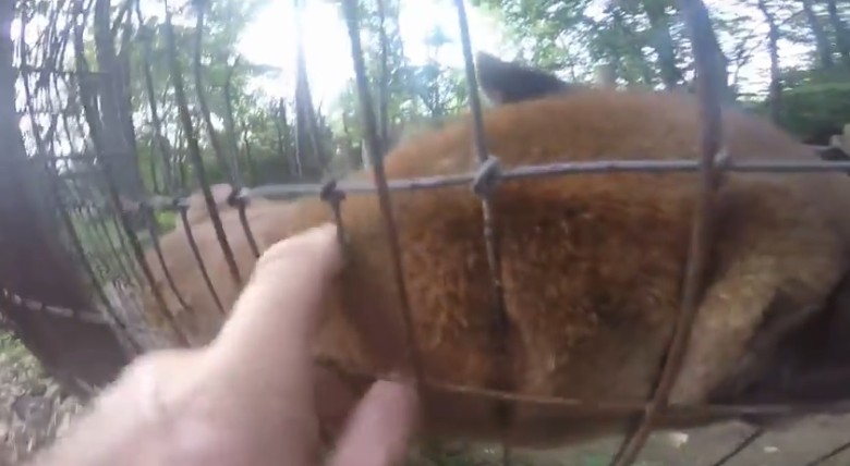 Ŧ������Լ�ʮ�ְ��׽�����