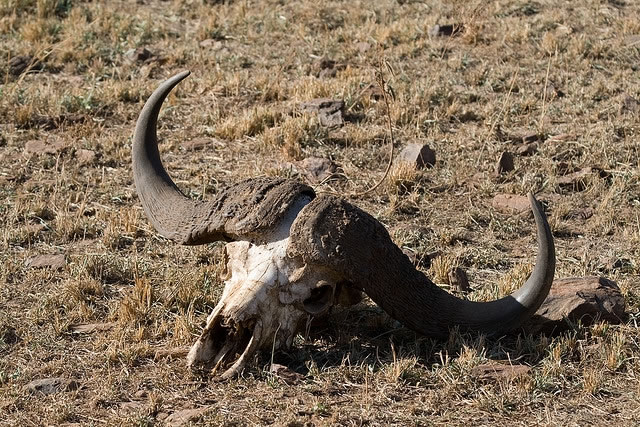 ���������ڵ��������ִ���� ��ѧ�����ֶ�����������д��1100�������