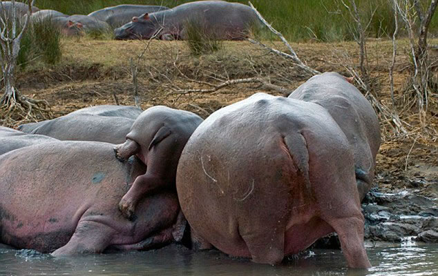 �Ϸ������С�������������������Ⱥ�����̿�����