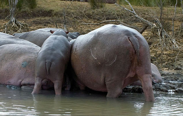 �Ϸ������С�������������������Ⱥ�����̿�����