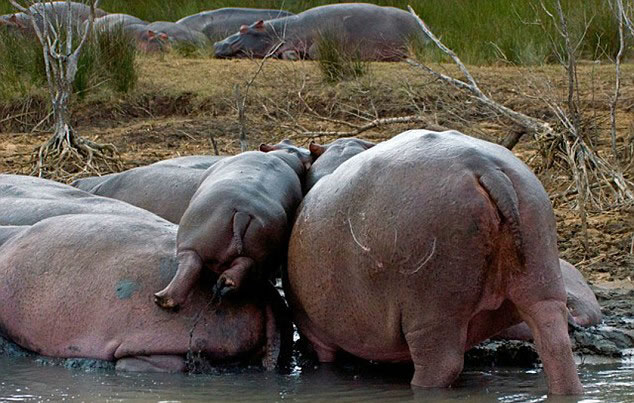 �Ϸ������С�������������������Ⱥ�����̿�����