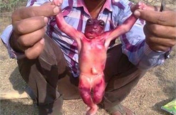 又见外星人?印度村民凿井取水时意外发现人形生物