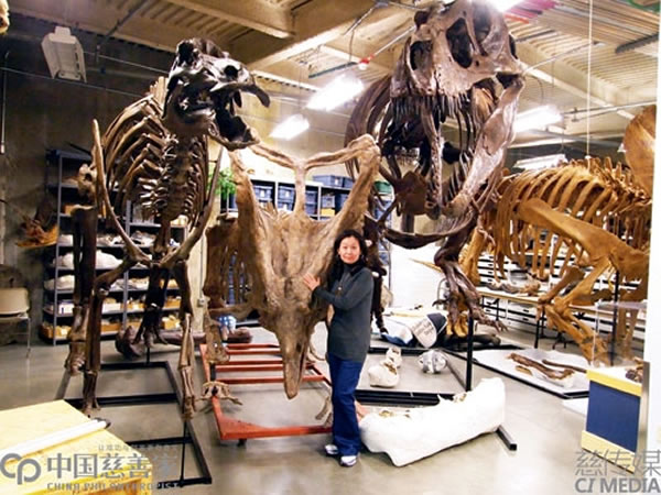 单华春的“石头记”