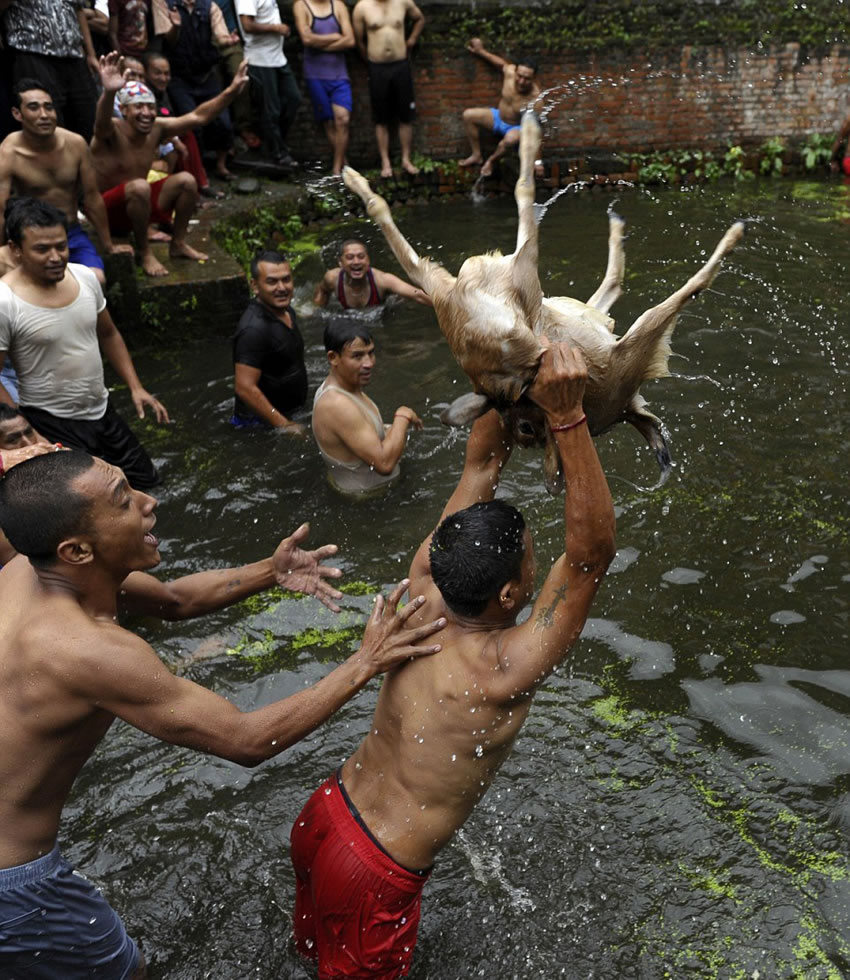 ȨʿǴᲴе¿ףΪʽĸ֣߳һֻСĸɽ򽫱˺׼