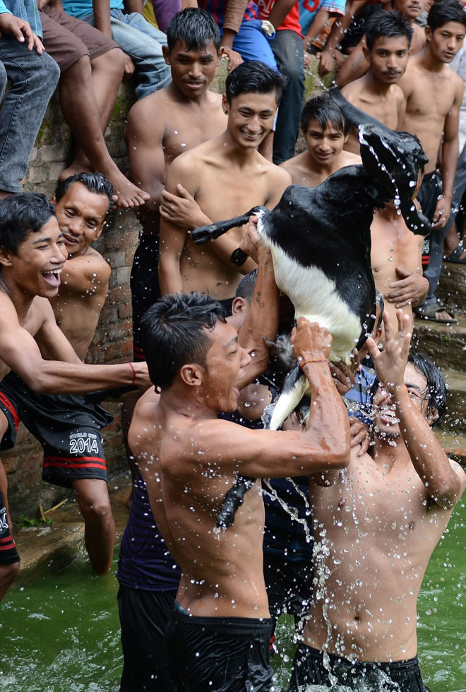 ȫĶȨ汣ʿǴΪᲴֹϳִͳ