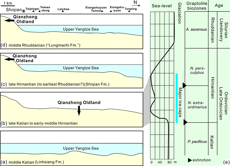 华南奥陶纪-志留纪过渡期壳相地层研究新进展