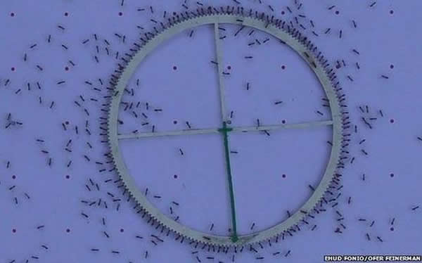 �����ڰ���ֱ��Ϊ16���׵����壬�������޷��ܿ��ϰ���