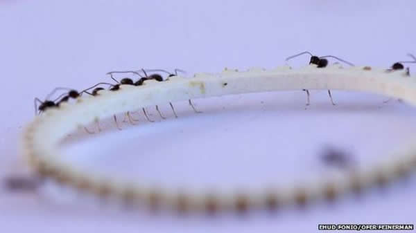 �����ϼ��뵽��������У����Դ����µ���Ϣ��