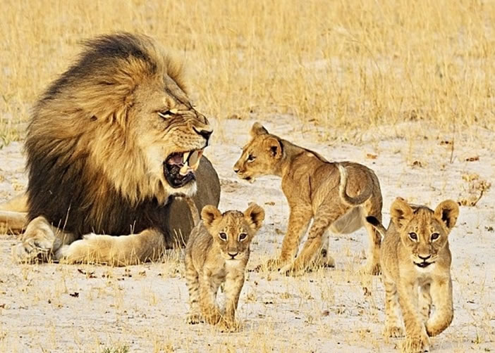 �������ʱ�չ����������Ź�