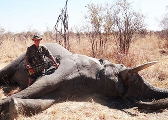 塞斯基曾猎杀多只大象