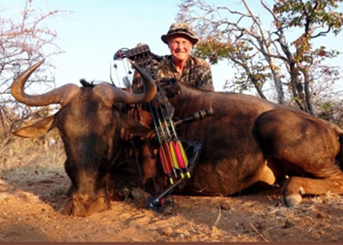 虽然水牛是濒危动物,但也成为塞斯基的猎物。