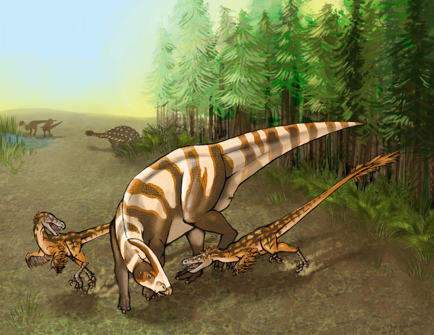复原图:两只Saurornitholestes sullivani攻击鸭嘴龙