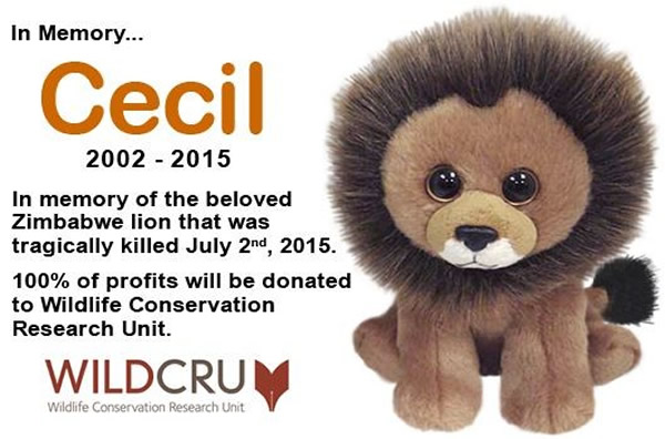 �������������Ty Inc.��ơ�������ʨ�ӡ��Ķ������޸�ƽ�����˸�����