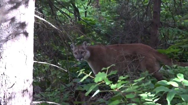 �����ڱ������ҹ�԰ͽ������������ʨ��·��� ������������