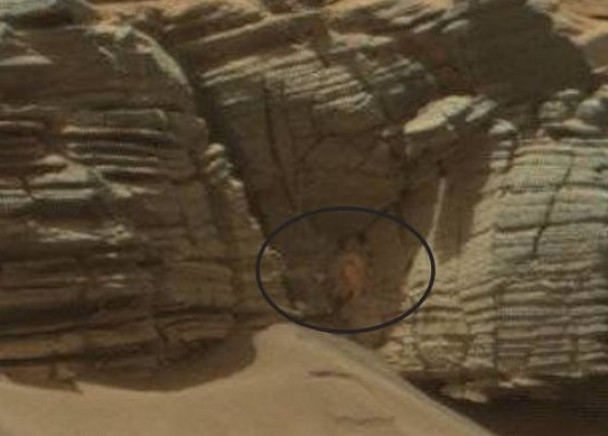 网民发现岩壁上出现疑似螃蟹的物体(蓝圈示)。