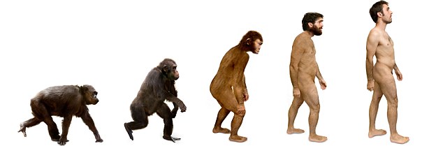 人类大脑皮质中发现的各种脂肪在人—猿进化分离后曾以异常快的速率发展