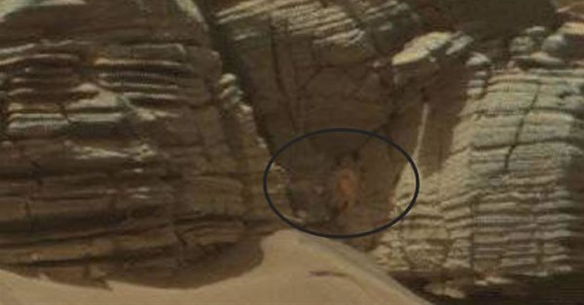 NASA不愿说出的火星真相:好奇号最新传回的火星表面照片中惊现螃蟹?