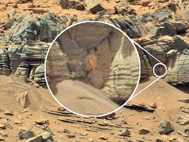 NASA不愿说出的火星真相：好奇号最新传回的火星表面照片中惊现螃蟹？