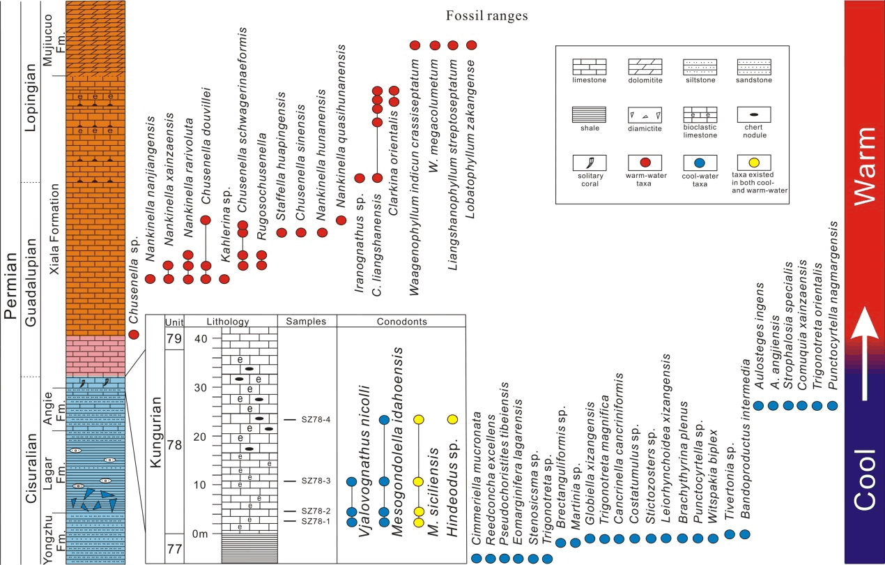 ������������������ز�ֲ����������ݻ���ϵ