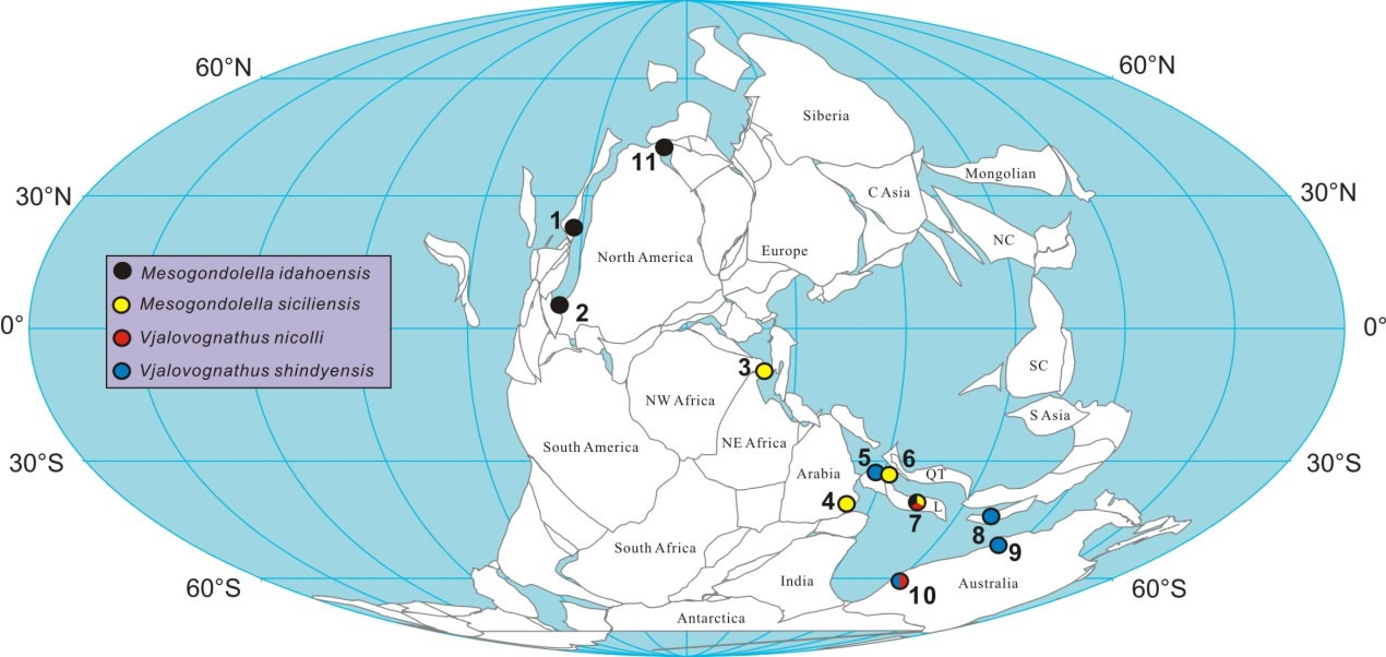 Vjalovognathus�ŵ����ֲ�ͼ