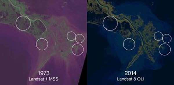 由Landsat(SGS/NASA Landsat Program)所观察到的密西西比河三角洲的为期40年的沿岸土地和湿地的丧失。