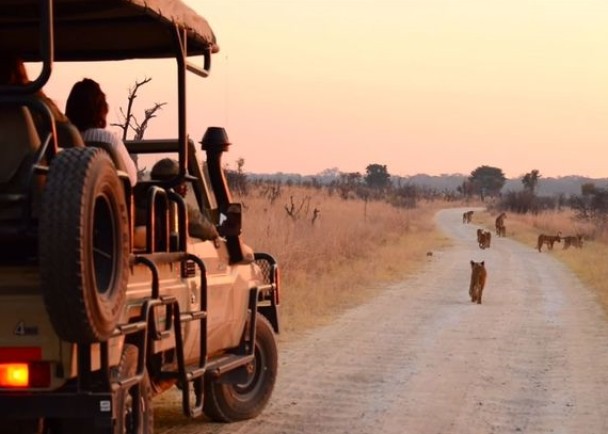 ���������Ź���������ҹ�԰�ڡ�ɢ����