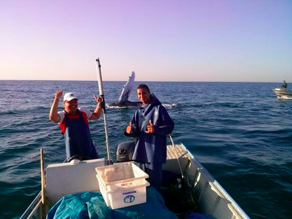 男子们看见鲸鱼脱困后自由的模样,也非常开心感动,其他渔民则替他们合照留影。