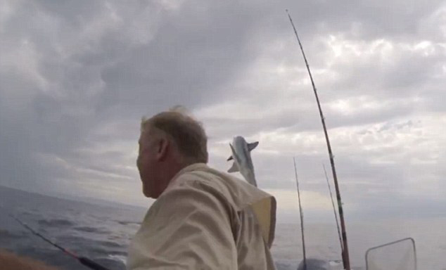美国两名男子在海钓时遭遇一条巨型灰鲭鲨的“死亡威胁”