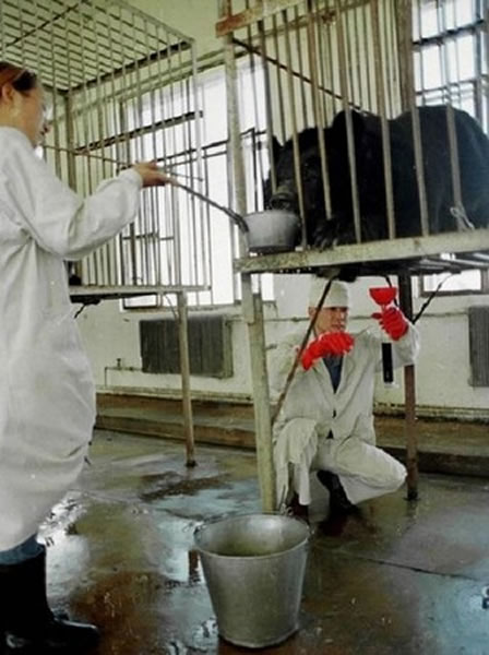 ����������ֳ������ͼ��ȡ������ǵ��ձ���