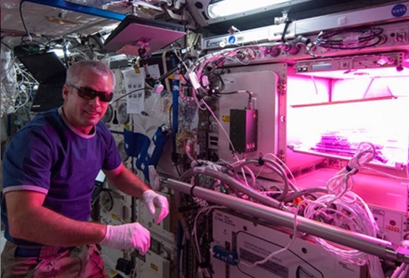 ���Լ���Ӧʳ����������̫�ճ��ڵ�����