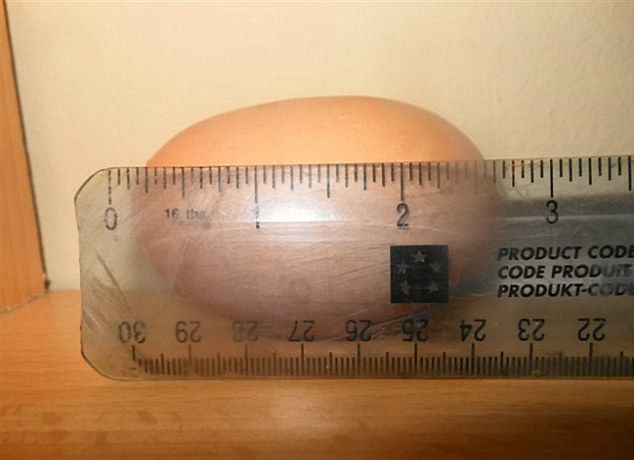 Ӣ�����ͼ������4������ ���ʽ�Ϊ110�ڷ�֮һ