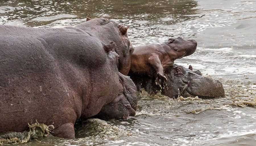 ��Ͳ�Τ������ҹ�԰����2��ĺ���������ĸ�׼�����Ⱥ���������Χ������