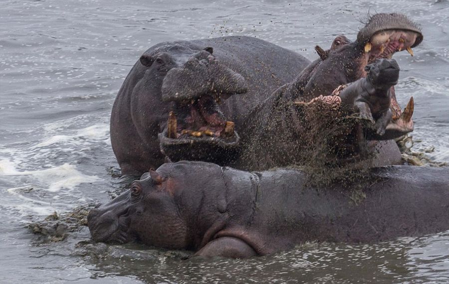 ��Ͳ�Τ������ҹ�԰����2��ĺ���������ĸ�׼�����Ⱥ���������Χ������