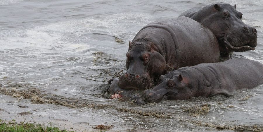 ��Ͳ�Τ������ҹ�԰����2��ĺ���������ĸ�׼�����Ⱥ���������Χ������