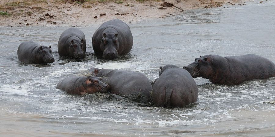 ��Ͳ�Τ������ҹ�԰����2��ĺ���������ĸ�׼�����Ⱥ���������Χ������