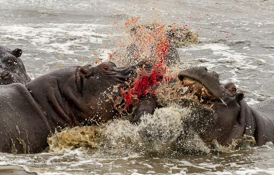 ��Ͳ�Τ������ҹ�԰����2��ĺ���������ĸ�׼�����Ⱥ���������Χ������