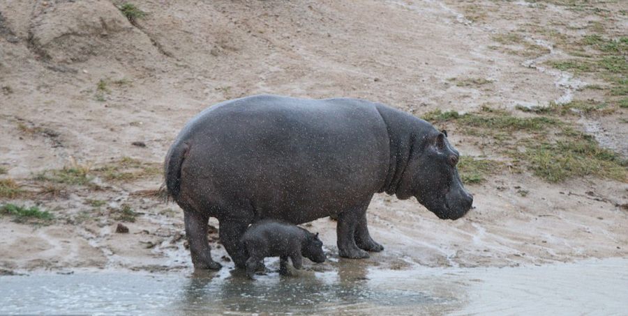 ��Ͳ�Τ������ҹ�԰����2��ĺ���������ĸ�׼�����Ⱥ���������Χ������